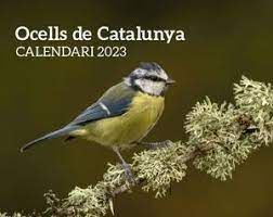 CALENDARI OCELLS DE CATALUNYA 2023 EFADOS