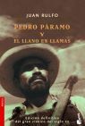 PEDRO PÁRAMO Y EL LLANO EN LLAMAS