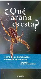 ¿QUE ARAÑA ES ESTA?