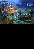 RECURSOS MARINS DEL MEDITERRANI. FAUNA I FLORA DEL MAR CATALÀ