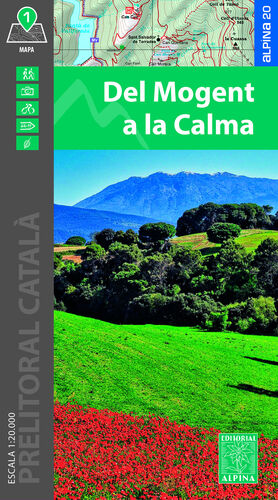 DEL MOGENT A LA CALMA