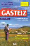 MONTES DESDE GASTEIZ