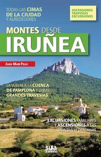 MONTES DESDE IRUÑEA