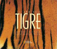 EL AÑO DEL TIGRE