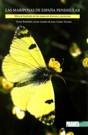 LAS MARIPOSAS DE ESPAÑA PENINSULAR