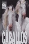 CABALLOS